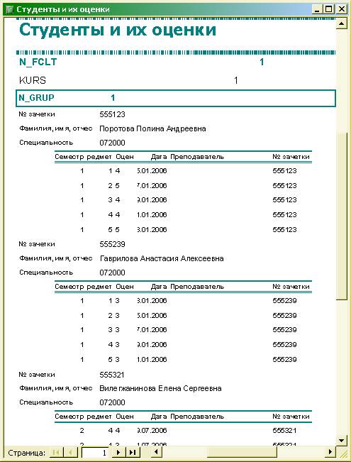 Отчет в режиме предварительного просмотра